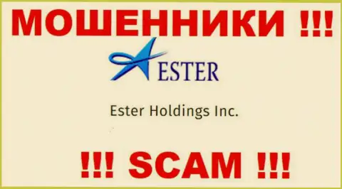Информация о юридическом лице интернет-разводил Ester Holdings
