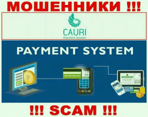 Обманщики Cauri LTD, прокручивая свои делишки в сфере Платежная система, лишают денег доверчивых клиентов