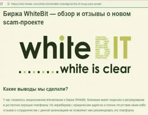 Работать с White Bit не советуем - мошенническая брокерская компания биржи крипты (отзыв)