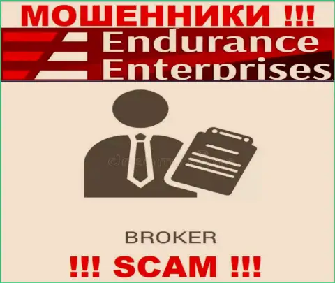 Endurance Enterprises не вызывает доверия, Брокер - это именно то, чем заняты данные интернет мошенники