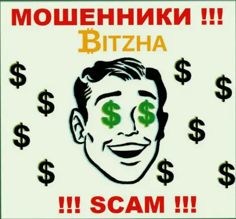 Контора Bitzha это МОШЕННИКИ !!! Действуют нелегально, поскольку у них нет регулятора