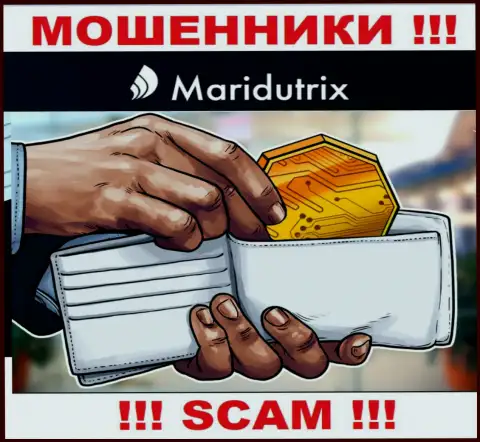 Криптовалютный кошелек - в данной сфере прокручивают свои грязные делишки ушлые мошенники Маридутрикс