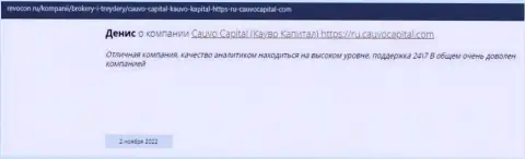 Организация CauvoCapital описана в публикации на веб-сервисе revocon ru