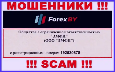 На интернет-сервисе мошенников Forex BY размещен этот регистрационный номер указанной организации: 192530878