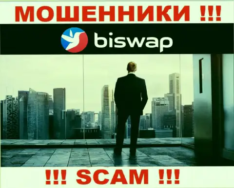 Кто руководит internet кидалами BiSwap неизвестно