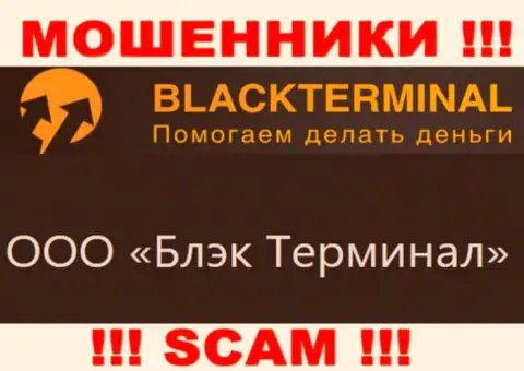 На официальном web-сайте BlackTerminal сообщается, что юр. лицо конторы - ООО Блэк Терминал