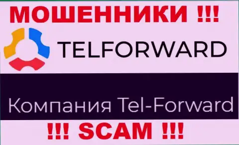 Юридическое лицо Тел-Форвард - это Tel-Forward, именно такую информацию предоставили мошенники на своем сайте