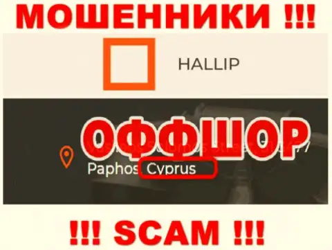Лохотрон Халлип Ком зарегистрирован на территории - Cyprus