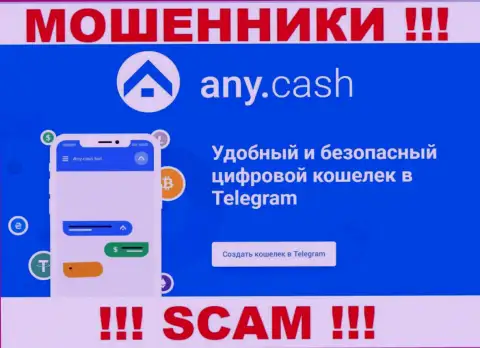 Any Cash - это интернет мошенники, их работа - Криптовалютный кошелёк, нацелена на слив финансовых активов наивных клиентов