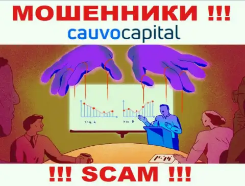 Не рекомендуем соглашаться работать с интернет мошенниками Cauvo Capital, прикарманят денежные средства