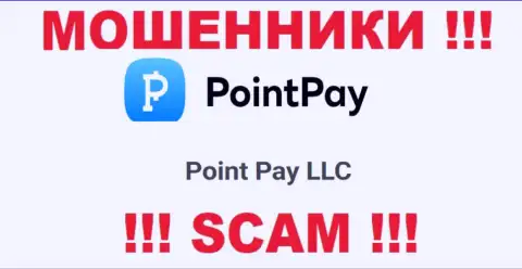 На web-сервисе Поинт Пей сказано, что Point Pay LLC - это их юридическое лицо, однако это не значит, что они солидны