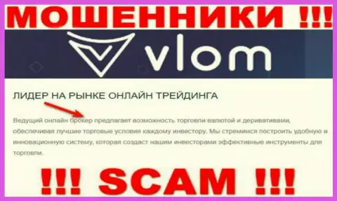 Мошенники Vlom представляются специалистами в сфере Брокер
