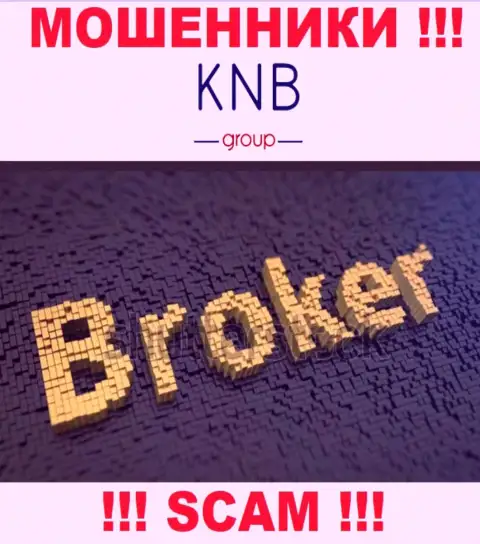 Тип деятельности незаконно действующей организации KNB-Group Net - это Брокер