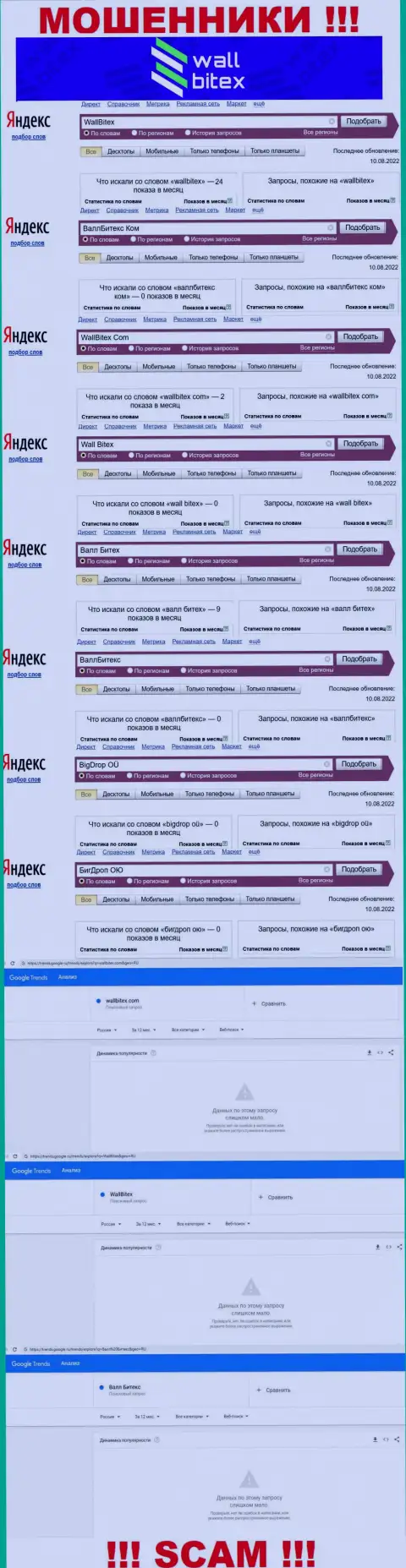 Статистические данные по бренду WallBitex, сколько людей заинтересовались указанными интернет мошенниками