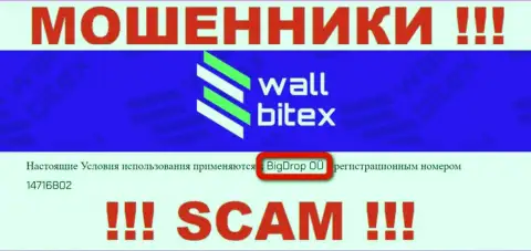 Валл Битекс - это МОШЕННИКИ !!! Управляет указанным лохотроном BigDrop OÜ