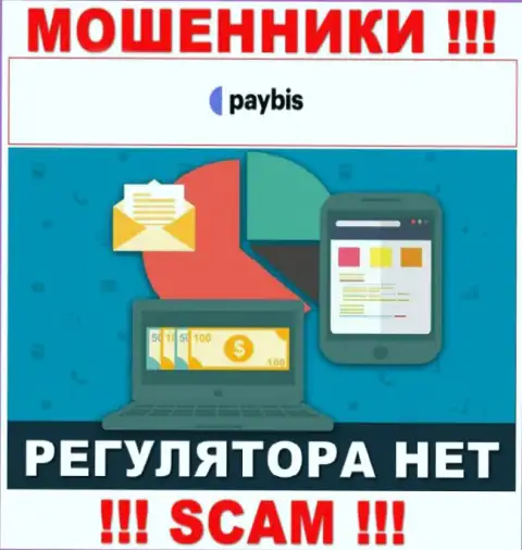 У PayBis на сайте не имеется инфы о регуляторе и лицензии организации, значит их вообще нет