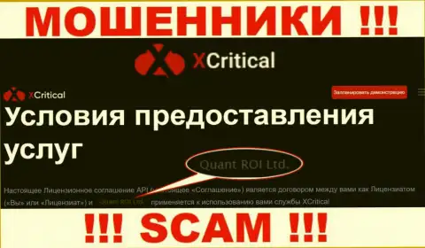 Мошенническая контора X Critical в собственности такой же противозаконно действующей организации Куант РОИ ЛТД