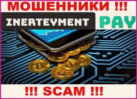 Вид деятельности InerteymentPay Com: Система платежей - хороший заработок для интернет-мошенников