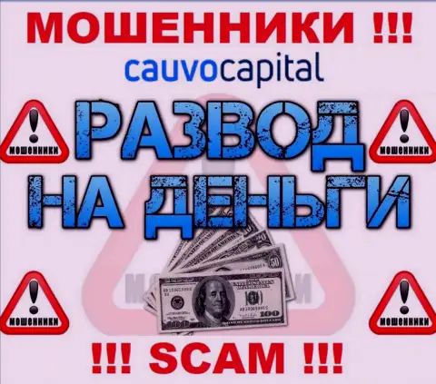 Даже не мечтайте, что с брокерской компанией CauvoCapital Com возможно нарастить прибыль, Вас обманывают