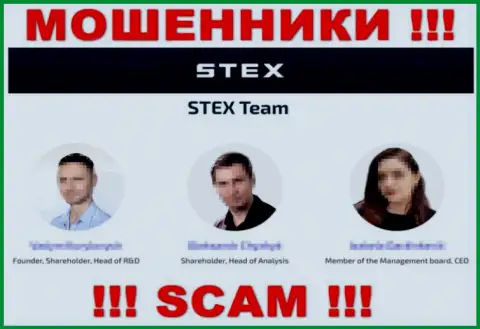 Кто конкретно управляет Stex непонятно, на веб-сервисе мошенников размещены фейковые сведения