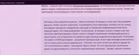 Обзор Bitzha24 Com, что представляет из себя организация и какие отзывы ее реальных клиентов