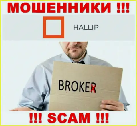 Направление деятельности internet кидал Hallip - это Broker, но помните это разводняк !