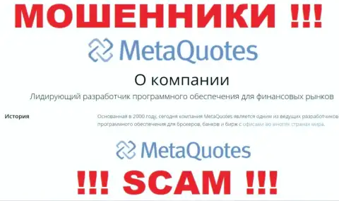 Разработка программного продукта - в данном направлении предоставляют свои услуги интернет-махинаторы MetaQuotes Net