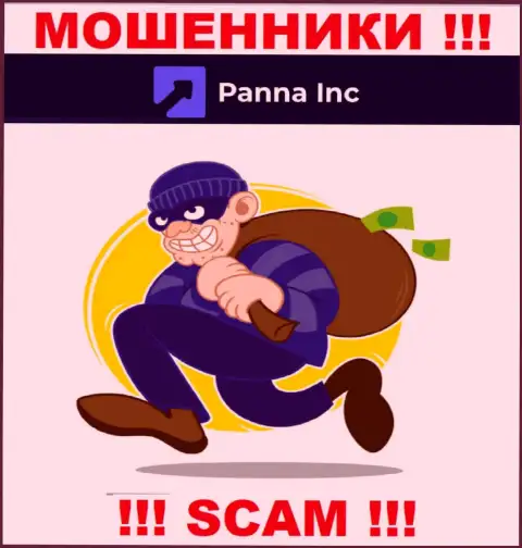 Panna Inc обещают отсутствие риска в совместном сотрудничестве ? Имейте ввиду - это РАЗВОДНЯК !