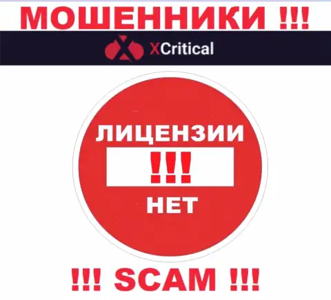 Сведений о лицензии компании XCritical у нее на официальном информационном портале НЕТ