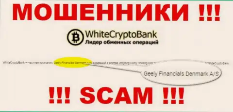 Юр. лицом, владеющим интернет мошенниками WhiteCryptoBank, является Geely Financials Denmark A/S