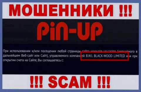 Мошенники Pin-Up Casino принадлежат юр лицу - B.W.I. BLACK-WOOD LIMITED