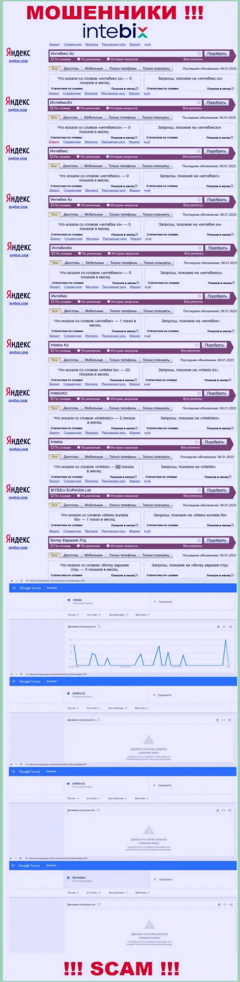 Статистические показатели бренда Intebix, какое именно число online-запросов у данной компании