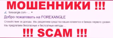 ForexAngle Com - это МОШЕННИКИ ! SCAM !!!