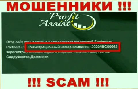 Регистрационный номер компании ProfitAssist - 2020/IBC00062