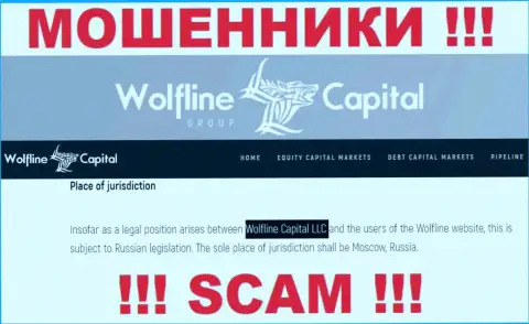 Юридическое лицо компании Волфлайн Кэпитал - это Wolfline Capital LLC