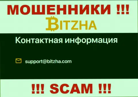 Электронный адрес мошенников Битза24, информация с информационного сервиса