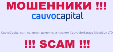 Воры CauvoCapital принадлежат юр лицу - Cauvo Brokerage Mauritius LTD