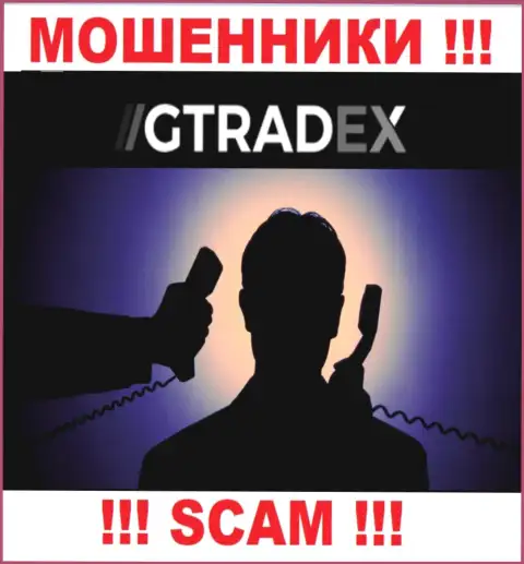 Инфы о руководителях мошенников GTradex во всемирной сети не удалось найти