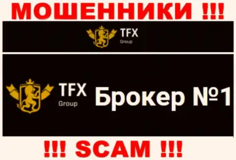 Не надо доверять вложения TFX FINANCE GROUP LTD, потому что их область деятельности, Форекс, капкан