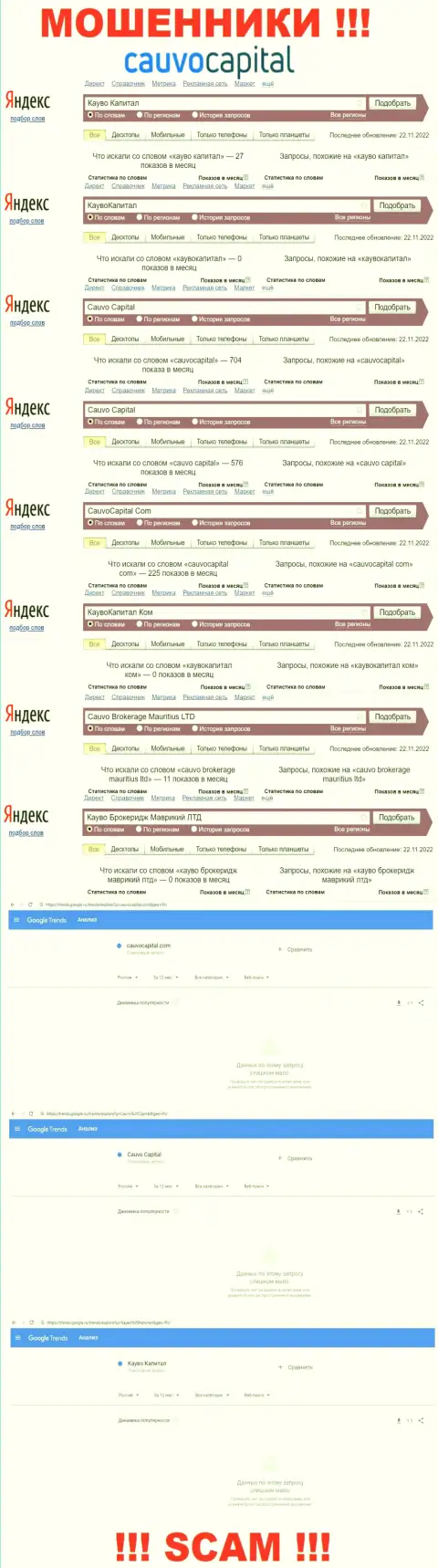 CauvoCapital - это КИДАЛЫ, сколько именно раз искали в поисковиках глобальной сети интернет эту компанию