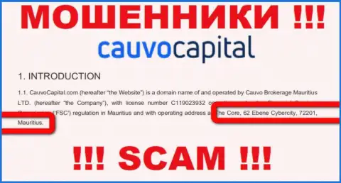 Невозможно забрать денежные средства у Cauvo Brokerage Mauritius LTD - они сидят в оффшорной зоне по адресу The Core, 62 Ebene Cybercity, 72201, Mauritius