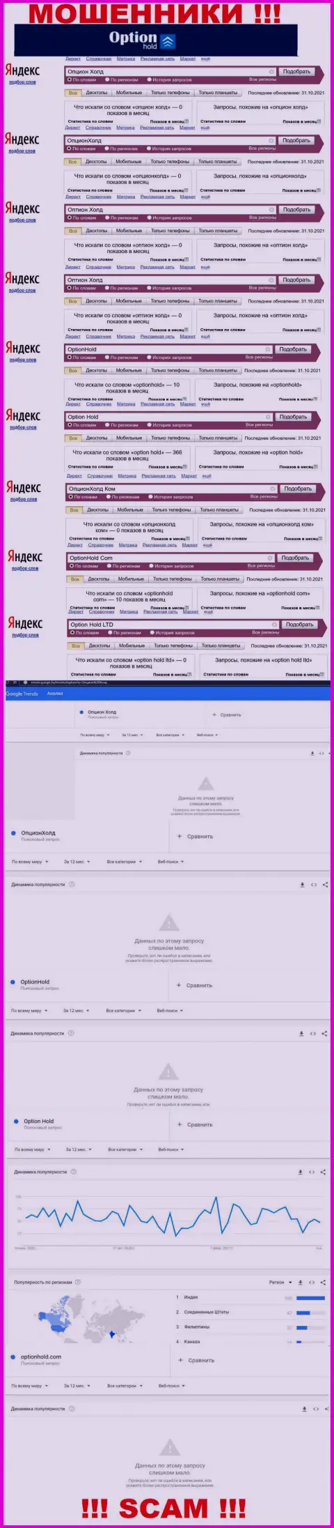 Подробный анализ internet-запросов по незаконно действующей организации Option Hold