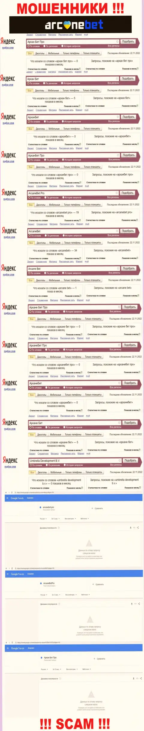 Статистика онлайн-запросов по бренду Аркан Бет Про в сети Интернет