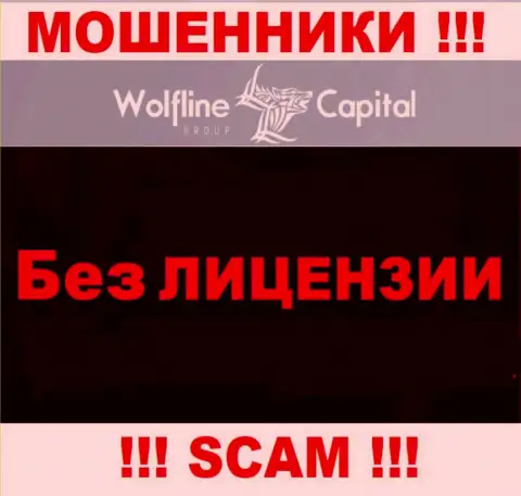 Невозможно найти данные о лицензии мошенников ВолфлайнКапитал Ком - ее попросту не существует !!!