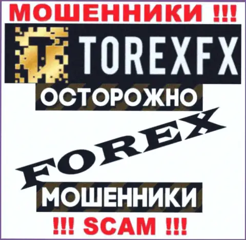 Род деятельности TorexFX: FOREX - хороший заработок для мошенников