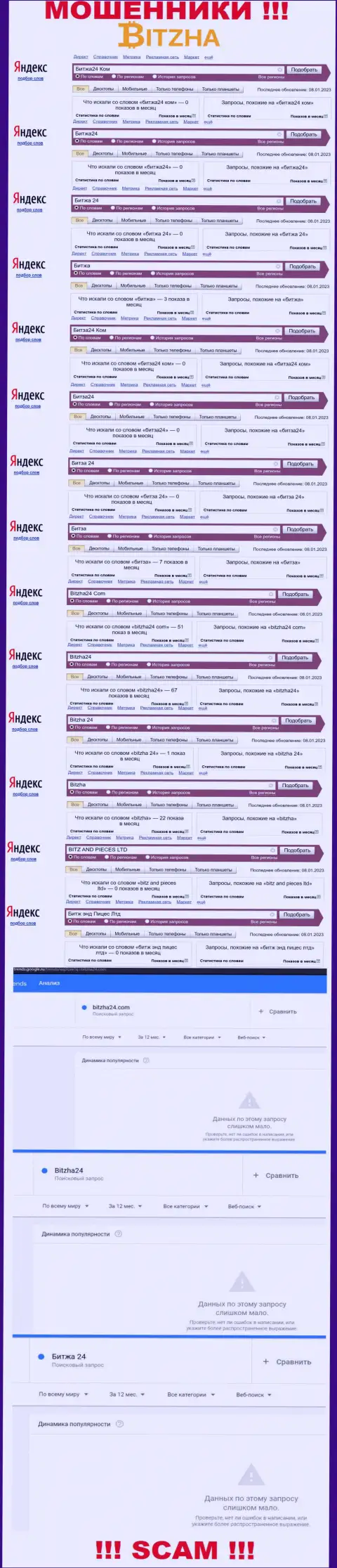 Сколько именно раз посетители интернет сети пытались отыскать сведения о кидалах Bitzha24 Com ???