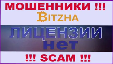 Мошенникам Bitzha24 не дали лицензию на осуществление их деятельности - воруют денежные средства