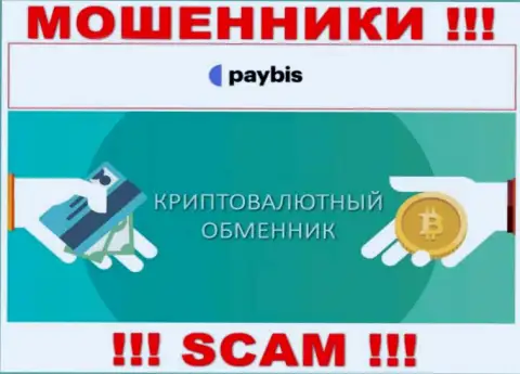 Crypto exchanger - это вид деятельности неправомерно действующей компании PayBis