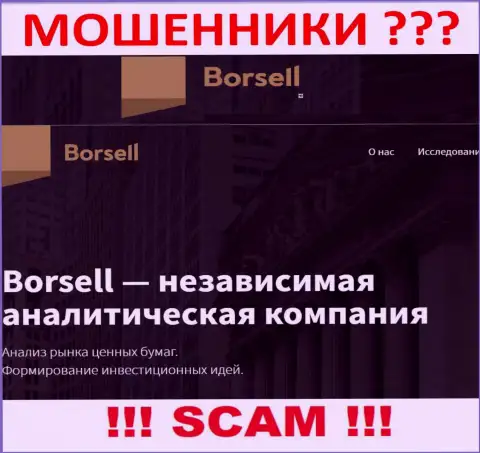 Что касательно области деятельности Борселл Ру (Analytics) - это несомненно надувательство