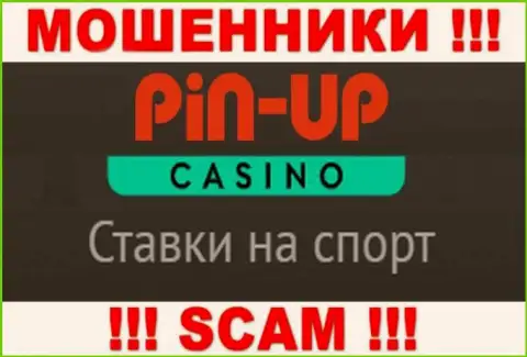 Основная работа Pin-Up Casino - это Casino, осторожно, действуют преступно